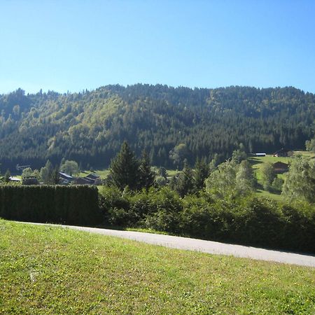 Charmant Studio Avec Terrasse Et Wifi A La Clusaz - Fr-1-459-64 Buitenkant foto